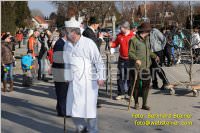 Zillingdorfer Faschingsumzug, 21.02.2012
