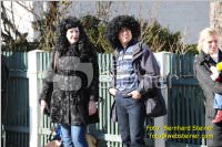 Zillingdorfer Faschingsumzug, 21.02.2012