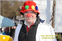 Zillingdorfer Faschingsumzug, 21.02.2012