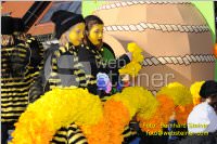 Zillingdorfer Faschingsumzug, 21.02.2012