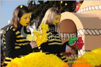 Zillingdorfer Faschingsumzug, 21.02.2012