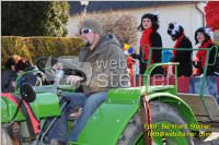 Zillingdorfer Faschingsumzug, 21.02.2012