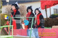 Zillingdorfer Faschingsumzug, 21.02.2012