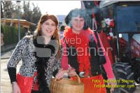 Zillingdorfer Faschingsumzug, 21.02.2012