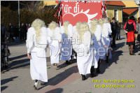 Zillingdorfer Faschingsumzug, 21.02.2012