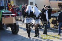 Zillingdorfer Faschingsumzug, 21.02.2012