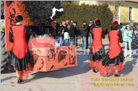 Zillingdorfer Faschingsumzug, 21.02.2012