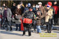 Zillingdorfer Faschingsumzug, 21.02.2012
