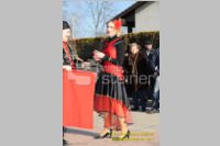 Zillingdorfer Faschingsumzug, 21.02.2012