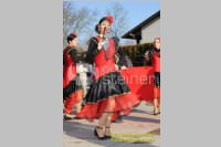 Zillingdorfer Faschingsumzug, 21.02.2012