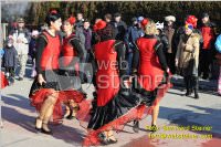Zillingdorfer Faschingsumzug, 21.02.2012