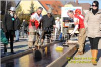 Zillingdorfer Faschingsumzug, 21.02.2012