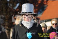 Zillingdorfer Faschingsumzug, 21.02.2012