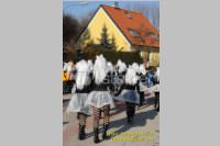 Zillingdorfer Faschingsumzug, 21.02.2012