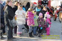 Zillingdorfer Faschingsumzug, 21.02.2012