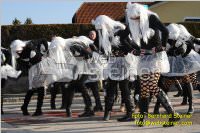 Zillingdorfer Faschingsumzug, 21.02.2012