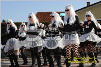 Zillingdorfer Faschingsumzug, 21.02.2012
