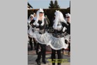 Zillingdorfer Faschingsumzug, 21.02.2012