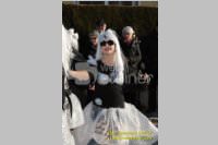 Zillingdorfer Faschingsumzug, 21.02.2012