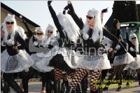 Zillingdorfer Faschingsumzug, 21.02.2012