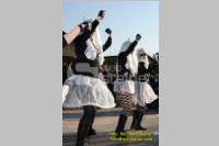 Zillingdorfer Faschingsumzug, 21.02.2012