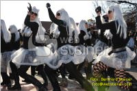 Zillingdorfer Faschingsumzug, 21.02.2012