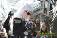 Zillingdorfer Faschingsumzug, 21.02.2012