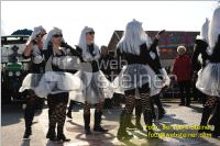 Zillingdorfer Faschingsumzug, 21.02.2012