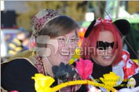 Zillingdorfer Faschingsumzug, 21.02.2012