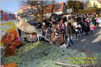 Zillingdorfer Faschingsumzug, 21.02.2012