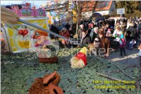 Zillingdorfer Faschingsumzug, 21.02.2012