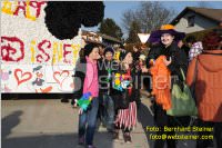 Zillingdorfer Faschingsumzug, 21.02.2012