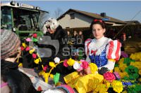 Zillingdorfer Faschingsumzug, 21.02.2012