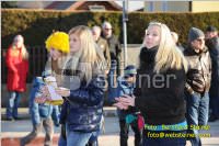 Zillingdorfer Faschingsumzug, 21.02.2012