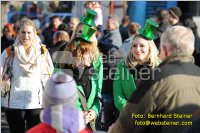 Zillingdorfer Faschingsumzug, 21.02.2012