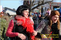 Zillingdorfer Faschingsumzug, 21.02.2012
