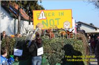 Zillingdorfer Faschingsumzug, 21.02.2012